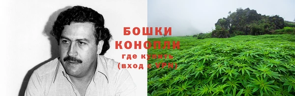 МДПВ Нея