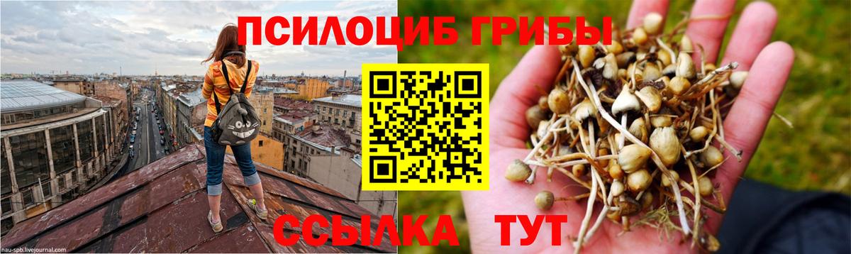 Галлюциногенные грибы MAGIC MUSHROOMS  Борисоглебск 